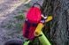 Сумка на руль KasyBag Pocket Pack Junior (кормушка) Red KB-PP-JR-rd фото 3