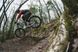 Джерсі TLD Ruckus 3/4 Jersey, [TEAM 81 MARINE], Розмір L 318981004 фото 5
