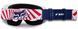 Окуляри FOX MAIN II SPARK GOGGLE - GOAT [Navy], Clear Lens 29680-007-OS фото 3