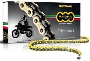 Ланцюг Regina ZRE Chain - 520 [Gold], 520-110L / Seal Ring 135ZRE/1003 фото