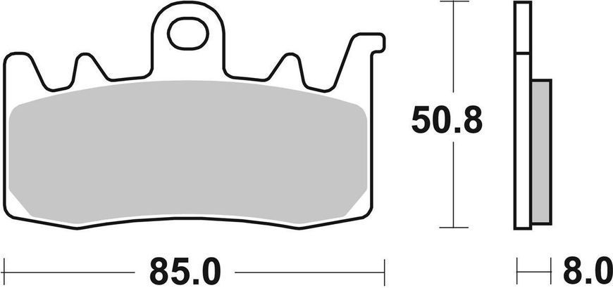 Гальмівні колодки SBS Track Days Front Brake Pads, Sinter 900RST фото