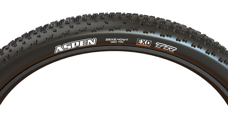 Покришка MAXXIS ASPEN 29X2.40WT TPI-120 Foldable EXO/TR ETB00211500 фото